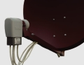 79033XX_3.jpg