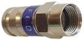 tcF6D_4.jpg
