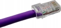 WTYK-RJ45-KAT-6-UTP-8P8C-WTYCZKI-INTERNETOWE-POZLACANE-100SZT_.jpg
