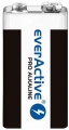 everActive 9V_1.jpg