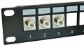 Panel pusty 19 1U, 24 porty na Keystone STP na FTP_2.jpg